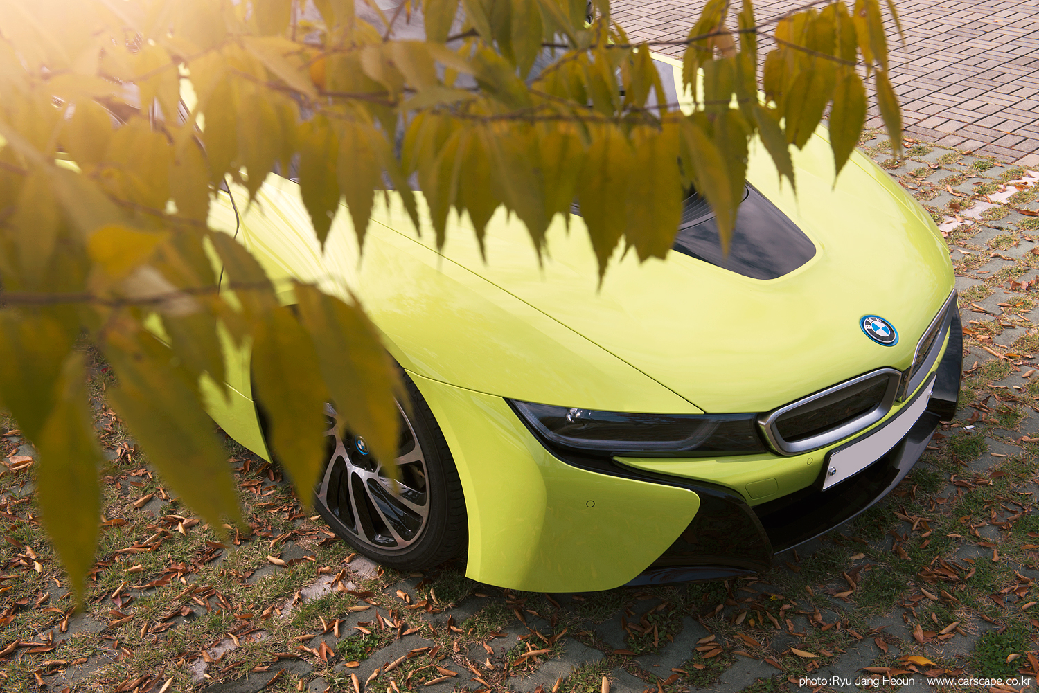 Photoshoot: Neon Yellow BMW i8